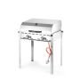  Grillsystem Green Fire 2 Brenner Profi Line - Emaillierte Grillplatte & Grillrost aus Gusseisen  kaufen