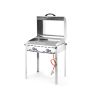  Grillsystem Green Fire 2 Brenner Profi Line - Emaillierte Grillplatte & Grillrost aus Gusseisen  kaufen