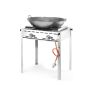  Grillsystem Green Fire 2 Brenner Profi Line - Emaillierte Grillplatte & Grillrost aus Gusseisen  kaufen