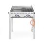 Grillsystem Green Fire 2 Brenner Profi Line - Emaillierte Grillplatte & Grillrost aus Gusseisen  kaufen