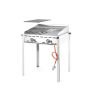  Grillsystem Green Fire 2 Brenner Profi Line - 2 Edelstahl Grillroste  kaufen