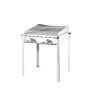  Grillsystem Green Fire 2 Brenner Profi Line - 2 Edelstahl Grillroste  kaufen