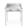  Grillsystem Green Fire 2 Brenner Profi Line - 2 Edelstahl Grillroste  kaufen