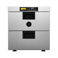 Niedertemperaturgarer CSD 002 E - 2 x GN 1/1 Längseinschub kaufen