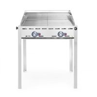 Grillsystem Green Fire 2 Brenner Profi Line - 2 Edelstahl Grillroste kaufen