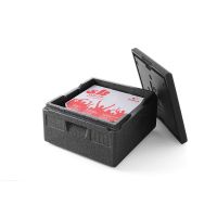 Pizza Thermobox Profi Line Profi Line 21L kaufen